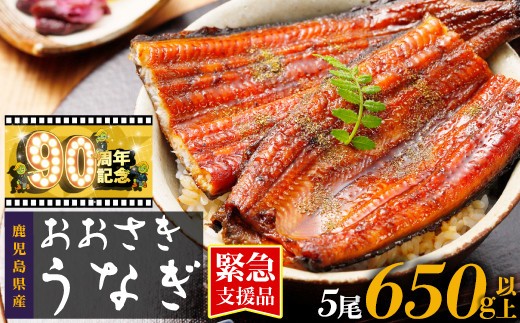 
                  【緊急支援品】鹿児島県産うなぎ長蒲焼120g×5尾セット
                