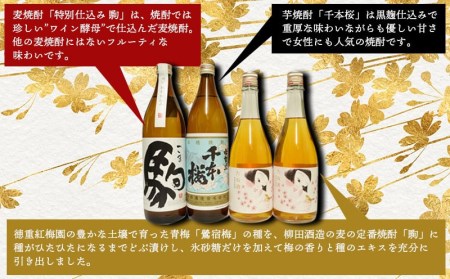 芋焼酎・麦焼酎・たね酒4本セット≪みやこんじょ特急便≫_MK-3506_(都城市) 芋焼酎 麦焼酎 千本桜 特別仕込み 駒 たね酒 900ml瓶 720ml瓶 計4本セット 