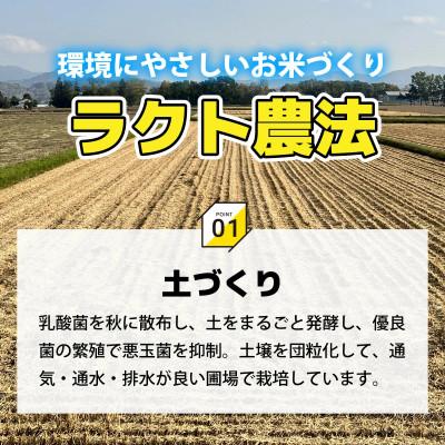 ふるさと納税 小浜市 令和7年産新米 こしひかり白米10kg |  | 01