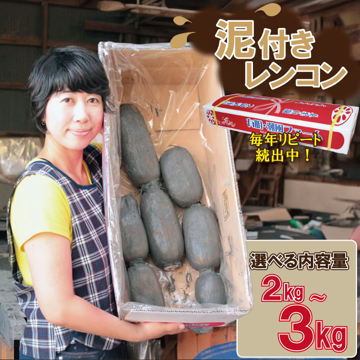 【ふるさと納税】【先行予約】大人気！ 佐賀県産 泥付き レンコン（ 2kg〜3kg ） 選べる 送料無料 農家直送 九州 佐賀 続々高評価 蓮根 野菜 根菜 サラダ マリネ 【A085-021】
