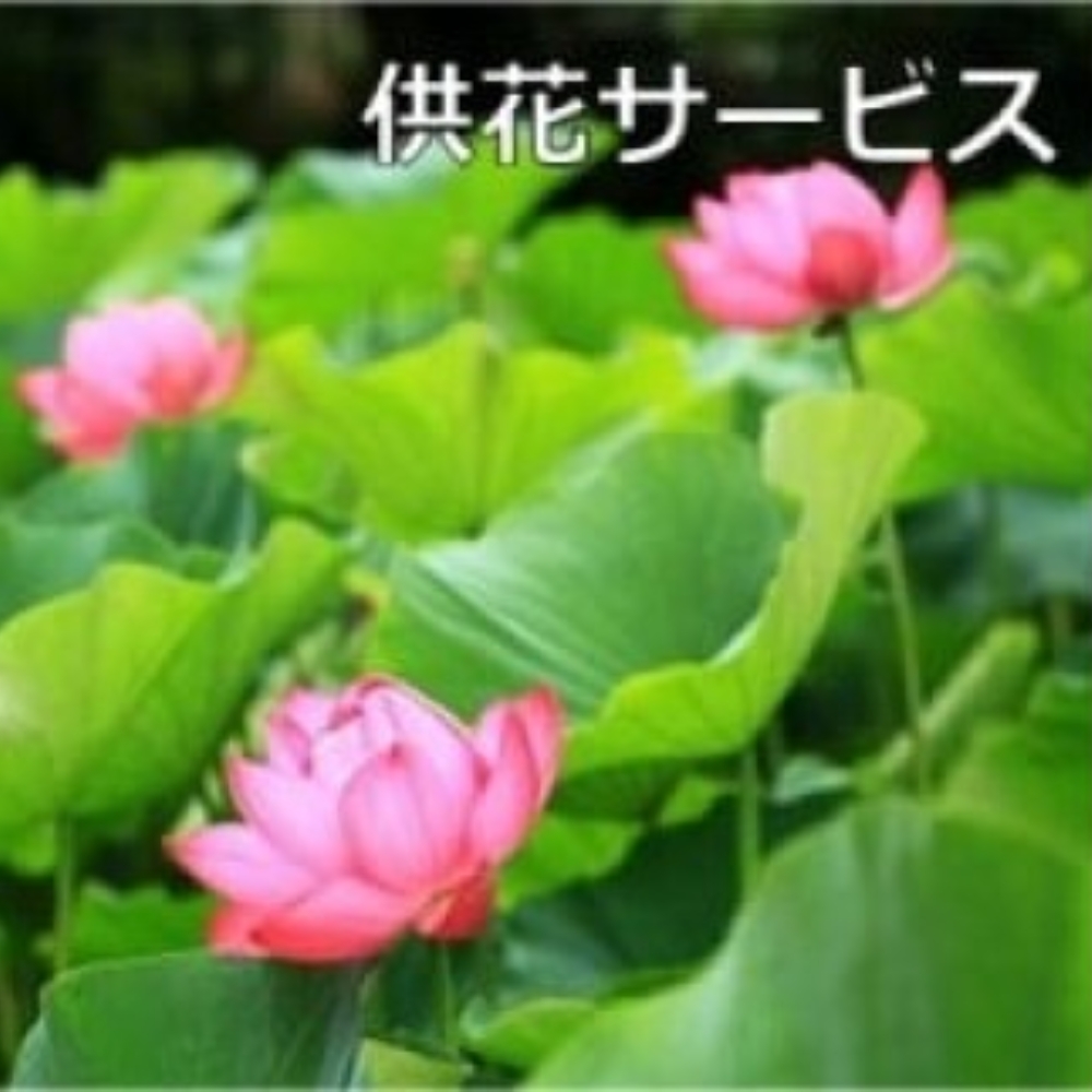ご先祖見守りサービス：供花サービス ～お墓の管理をお手伝いします～