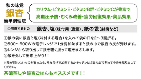 【 先行予約 2024年10月上旬以降発送 】銀杏 ぎんなん 約1kg ( 殻付き ・ L )　500g × 2袋 イチョウ 秋 美味 栄養満点 健康 高血圧予防 むくみ改善 疲労回復 美肌 [AX0