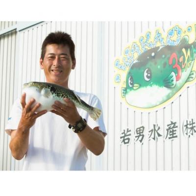 ふるさと納税 南あわじ市 【若男水産】【淡路島3年とらふぐ】松　ふぐ鍋　刺身・白子セット(3〜4人前) |  | 03