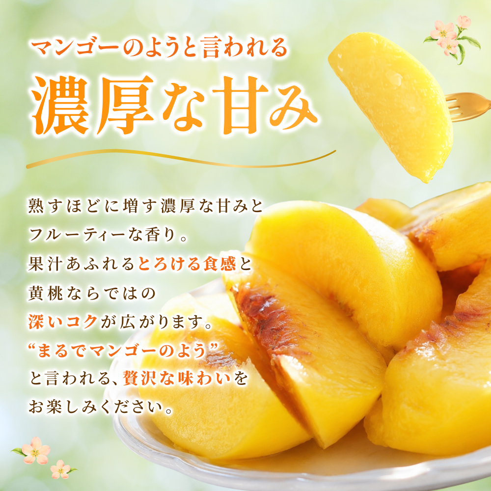 先行予約 岡山県産 黄金桃 3.8kg 化粧箱入り・贈答用 高級 おうごんとう 花田青果【2026年9月初旬～9月中旬まで順次発送予定】/ 桃 もも モモ 果物フルーツ 贈答品 贈り物 岡山県【hnd