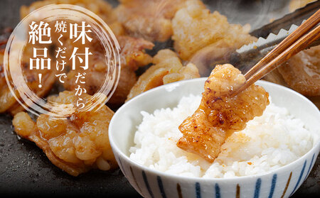 肉 味付け ホルモン 900g 坂西商店 【配送不可地域あり】《30日以内に出荷予定(土日祝を除く)》 熊本県 苓北町 ホルモン 牛 タレ 味付き BBQ 肉 にく 送料無料