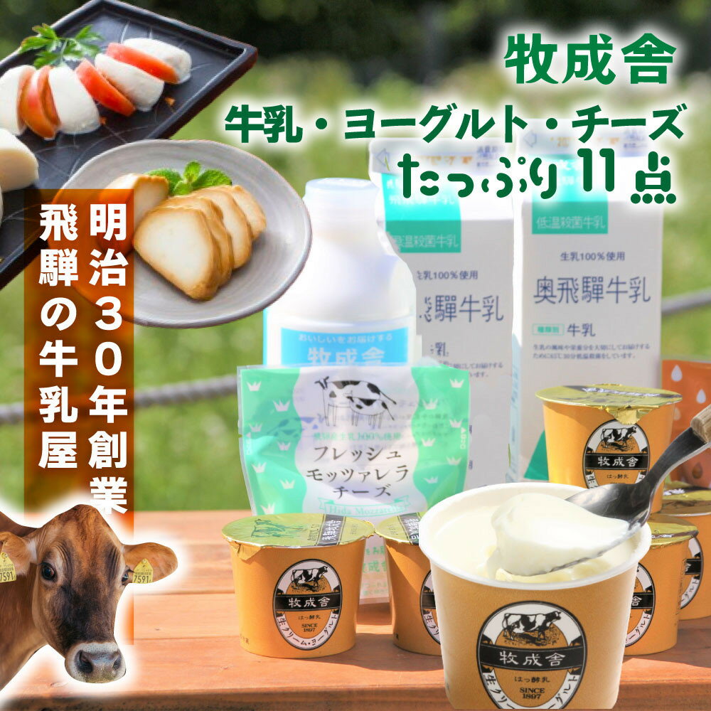 ＜牧成舎＞こだわり 牛乳 ヨーグルト チーズ 乳製品よりどりセット