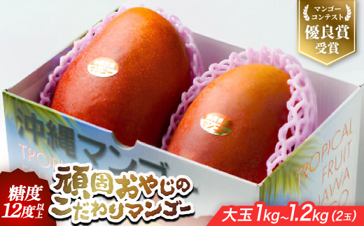 【2027年発送・糖度12度以上保証】頑固おやじのこだわりマンゴー大玉1.0kg～1.2kg(2玉)【配送不可地域：離島】