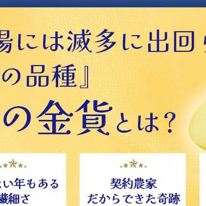 りんごジュース 280ml × 24本 ペットボトル 星の金貨 りんごジュース