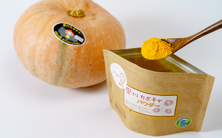 里川カボチャパウダー 50g入り６パックセット【お菓子作り マフィン クッキー パン レシピ スイーツ パンプキン ハロウィン 便利 離乳食 かぼちゃ スープ 南瓜 茨城県 常陸太田市】