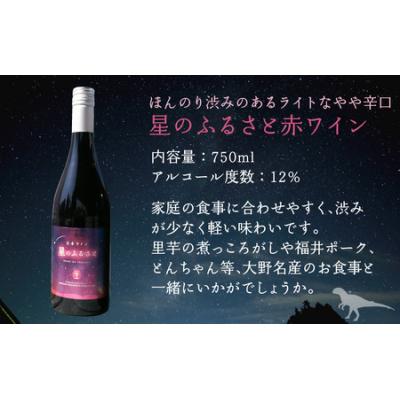 ふるさと納税 大野市 星のふるさとワイン 赤・白セット |  | 01