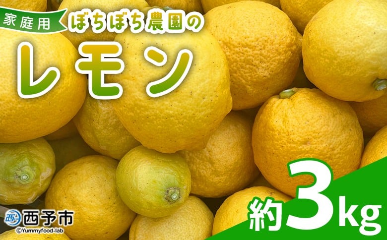 
                  ＜ぼちぼち農園のレモン 家庭用 約3kg＞ 3キロ レモン れもん 檸檬 訳あり わけあり ワケアリ ご自宅用 ご家庭用 果物 柑橘 フルーツ アレンジ 料理 国産 国産レモン 愛媛県産 特産品 ぼちぼち農園 愛媛県 西予市【常温】『2027年1月～3月中旬迄に順次出荷予定』
                