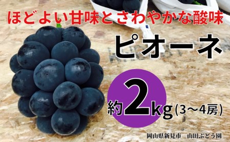 山田ぶどう園 ピオーネ 約2kg 3～4房 【先行予約 9月上旬から順次発送】