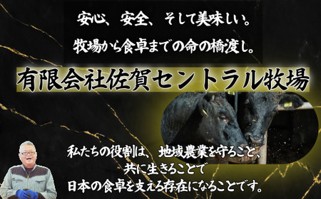 【牧場定期便】佐賀産和牛の赤身肉の定期便 全12回：C223-005