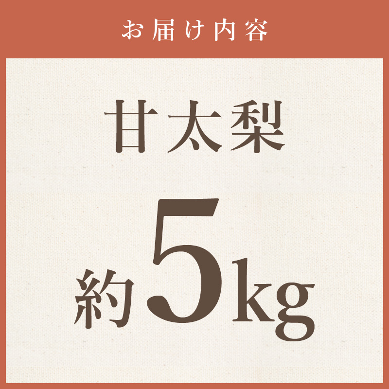 【2025年産先行予約】伊万里梨 「甘太」 約5kg ご自宅用におすすめ B762