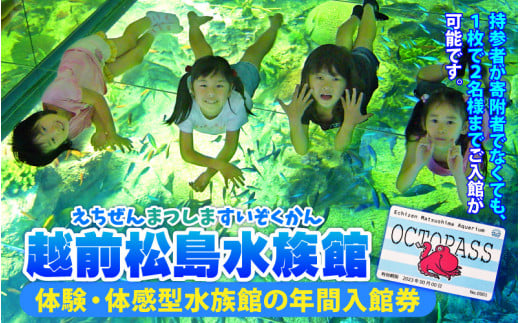 
【越前松島水族館】 特別年間パスポート「オクトパス」 [J-11101]
