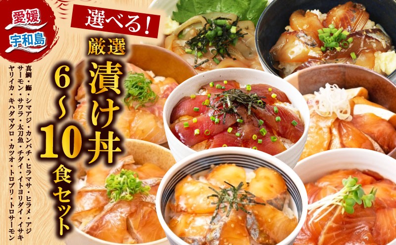 
                  漬丼 厳選 活締め 全18種  お任せ 漬け丼 選べる 容量 6食 ～ 10食 セット 南予ビージョイ 真鯛 鰤 シマアジ カンパチ ヒラマサ ヒラメ アジ サーモン サワラ 太刀魚 チダイ イトヨリダイ イサキ ヤリイカ キハダマグロ カツオ トロブリ トロサーモン 食べ比べ 人気 加工品 新鮮 水産品 漬け 刺身 海鮮 海鮮丼 数量限定 愛媛 宇和島
                
