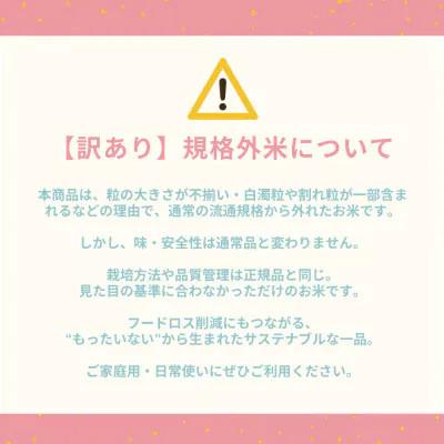 ふるさと納税 南丹市 【訳あり】 令和8年産 こと美山米 5kg 精米 コシヒカリ にじのきらめき |  | 01