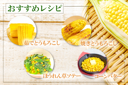 A-1160 ［夏作］朝採れとうもろこし　10本【先行予約 朝採れ とうもろこし 10本 早期予約 期間限定 季節限定 お土産 野菜 やさい 夏野菜 夏 トウモロコシ】