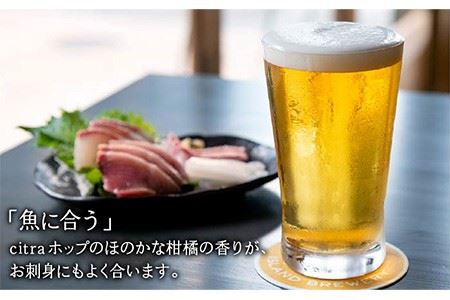 【全6回 定期便 】クラフトビール 地ビール GOLDEN ALE 6本 【ISLAND BREWERY】 《 壱岐市 》[JED010] 102000 102000円