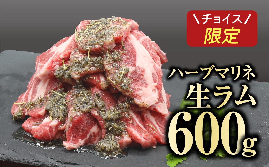 
味付き 生ラム 600g ( 300g × 2パック ) 冷凍保存 肉 ラム 焼肉 BBQ おかず 高タンパク 低カロリー 味付 贈答 ギフト プレゼント 人気 ランキング おすすめ グルメ 福島 ふくしま 田村 田村市 たむら 川合精肉店
