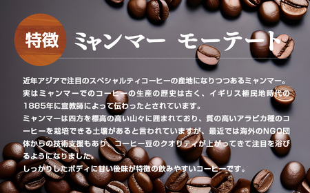 【 お試し 】 ミャンマーモーテート コーヒー ( 中細挽き ) 200g
