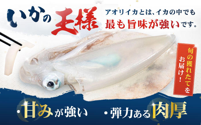 【イカの王様】アオリイカ 300g前後×4杯 肉厚 甘い 冷凍 刺身 五島市/金沢鮮魚 [PEP005] 