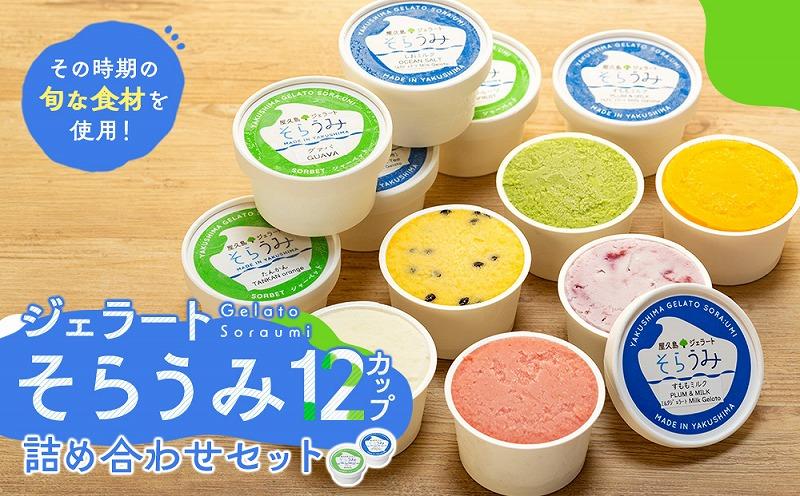 手作り ジェラート 12カップ 詰め合わせ セット＜屋久島産の新鮮食材を使用＞