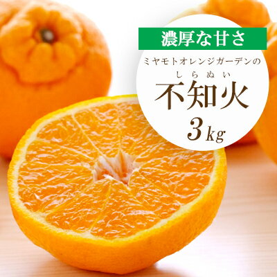 【ふるさと納税】【先行受付】デコポンと同品種 濃厚柑橘 不知火(しらぬい)(3kg/5kg)_ みかん ミカン 蜜柑 不知火 しらぬい 果物 くだもの フルーツ デザート おいしい 甘い かんきつ 柑橘 柑橘類 国産 愛媛 愛媛県 八幡浜市 産直 産地直送 送料無料 【G1612369】YWTAP144
