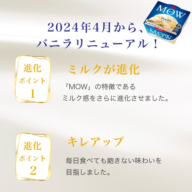 アイスクリーム セット PARM パルム チョコレート MOW モウ バ