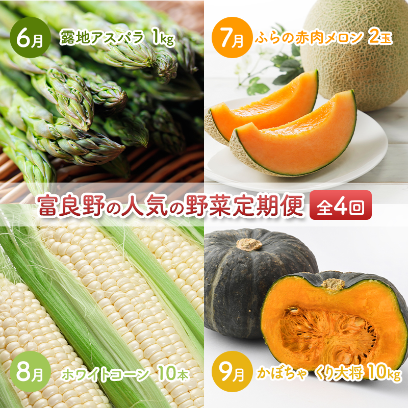 2026年夏～発送 富良野の人気の野菜 定期便 年4回  北海道 富