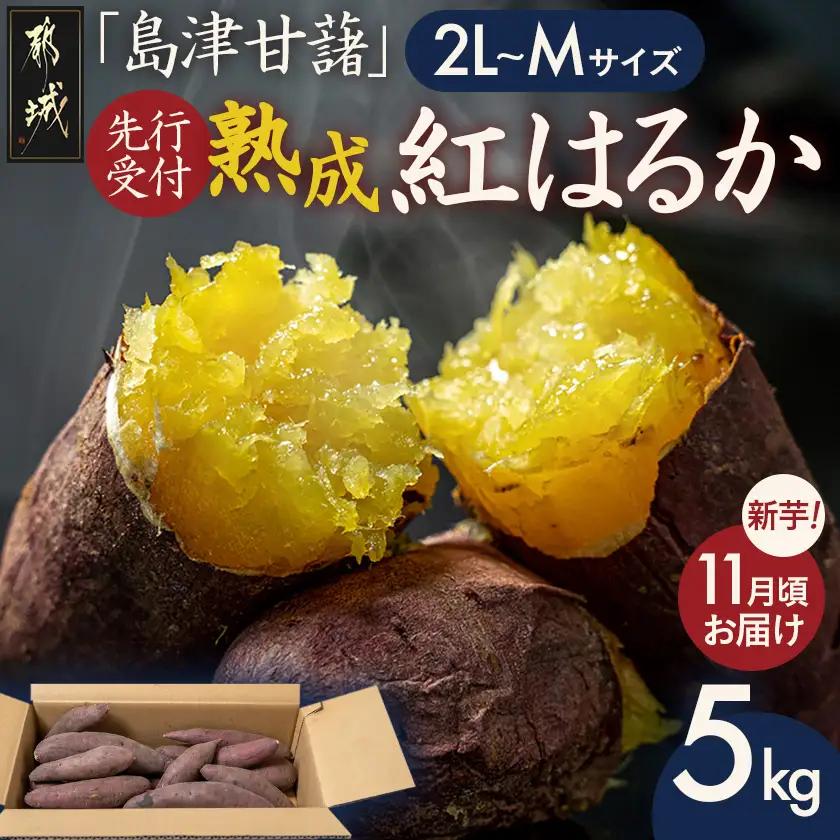 先行受付!【11月お届け】島津甘藷　熟成紅はるか 5kg(2L～M)〔LE-A7-001-5kg-11〕_(都城市) 島津甘藷 紅はるか 未選別 5kg 2L～M