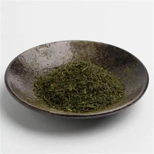 世界農業遺産　静岡の茶草場農法　掛川茶深むし茶・伝承　100g袋×3本【配送不可地域：離島・沖縄県】【1739021】