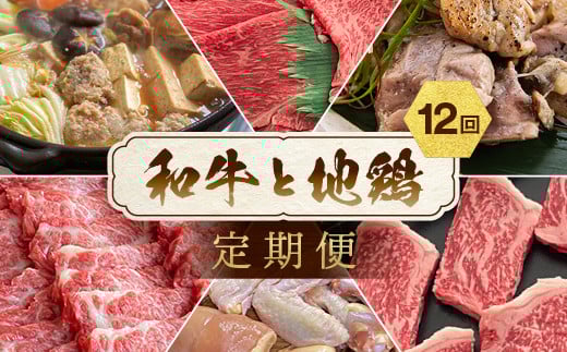 【訳あり 緊急支援】【12回定期便】和牛と地鶏 毎月交互にお届け＜京都亀岡丹波山本×ひら山＞京の肉＆地鶏丹波黒どり・丹波赤どり お楽しみセット《牛 鶏 すき焼き 焼肉 しゃぶしゃぶ ステーキ 冷凍 セット 緊急支援 ふるさと納税 定期便 特別返礼品》