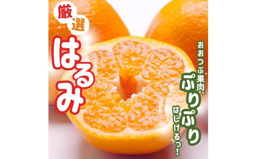 【先行予約】＜2月より発送＞厳選はるみ2.5kg+250g（傷み補償分）デコポンの姉妹品種 新食感春みかん 光センサー選別 【ikd048C】