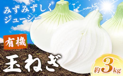 玉ねぎ 有機 玉ねぎ 約3kg 《4月上旬-8月上旬頃出荷》ファームゆうき 和歌山県 岩出市 たまねぎ タマネギ 玉葱 野菜 送料無料