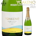 【ふるさと納税】 ワイン 白ワイン YOAKENO 天王原シャルドネ スパークリング 2023 発泡性 辛口 アルコール分11％ お酒 720ml 1本 送料無料