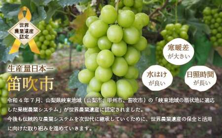 ＜2024年先行予約＞厳選！山梨県笛吹市産 シャインマスカット 約700g（1房） 156-005