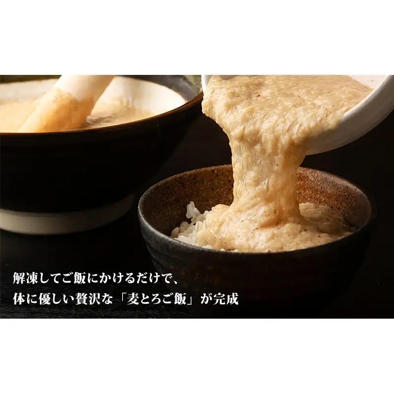 冷凍とろろ汁（さば味噌汁）225g 2個 とろろ 自然薯 じねんじょ 山芋 山かけ とろろご飯 そば うどん 小分け 冷凍 静岡 島田市