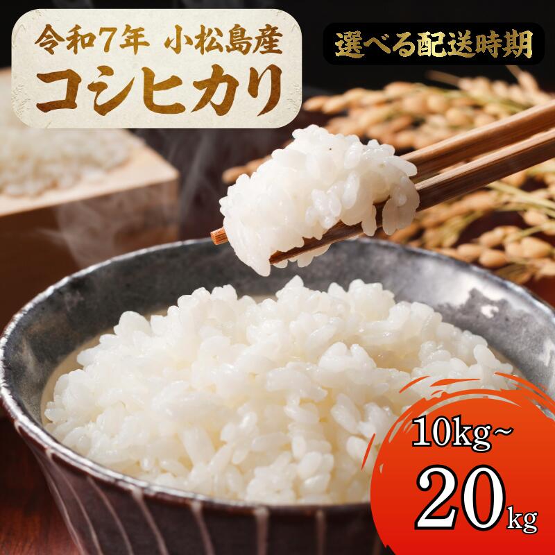 【ふるさと納税】 【選べる配送時期】 米 コシヒカリ 10kg/20kg 小松島市 令和7年産 精米 白米 お米 こしひかり 人気 ご飯 ごはん 国産米 徳島県