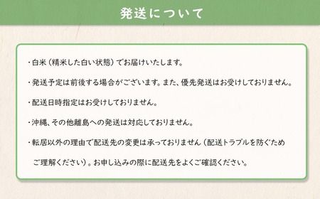 【令和7年産】 境町 白米 「コシヒカリ」 10kg(10kg×1袋) 数量限定 S277