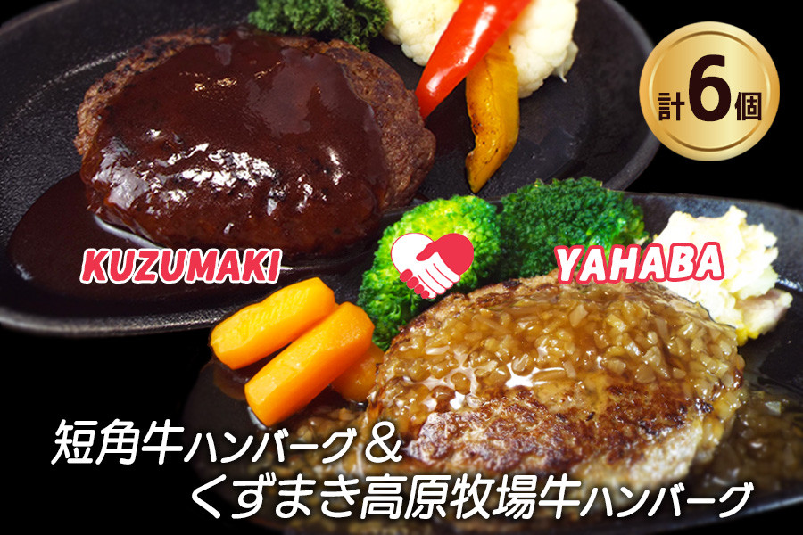
            岩手県　矢巾町と葛巻町の人気返礼品 ハンバーグの食べ比べ合計6個
          