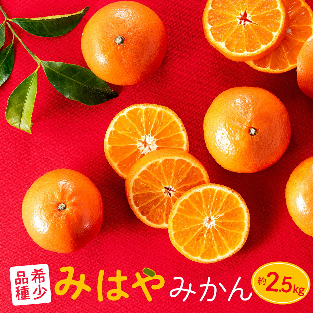 【ふるさと納税】【希少品種】みはやみかん／約2.5キロ(2025年12月上旬～2026年1月末発送予定) 赤橙色 柑橘．AA088