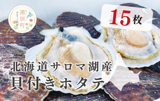 <先行予約2025年11月から発送>北海道サロマ湖産　貝付きホタテ15枚　ほたて　帆立　刺身　海鮮　魚介　殻付き　貝付き　冷蔵　サロマ湖　オホーツク　おほーつく　湧別町　北海道