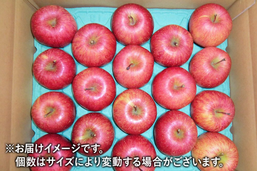 《先行受付》茂木農園のりんご ふじ 約5kg 16～18玉 [りんご 林檎 リンゴ フルーツ 果実 果物 先行受付 先行予約 秋田県 由利本荘市 茂木農園]