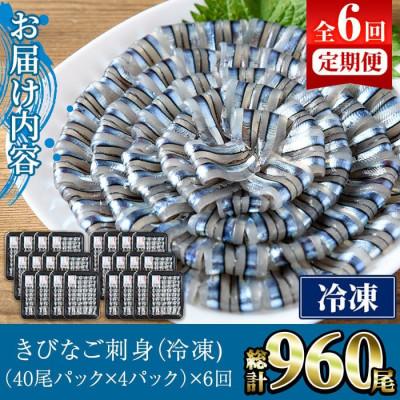 ふるさと納税 阿久根市 【毎月定期便】鹿児島県産!阿久根のきびなごお刺身セット 計960尾(40尾×4P×6回)全6回 |  | 02