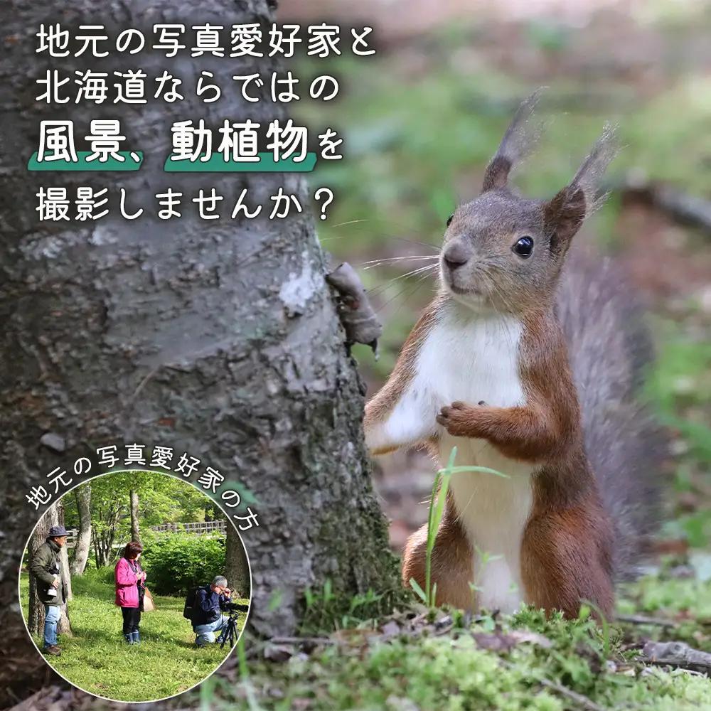 まちなか散策フォトツアー体験チケット(2人分)【3201301】
