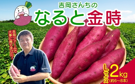 【予約受付中・2026年10月頃より順次発送】「吉岡さんちのなると金時」 Lサイズ 2kg