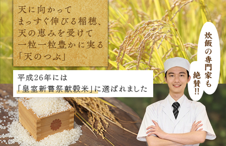 【令和8年産】【全3回定期便】米　国見町産　天のつぶ 10㎏(5㎏×2袋)　3回定期便 ※2026年10月～発送