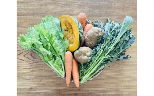 
            有機野菜詰め合わせセット( 5～6種類)
          