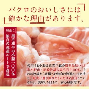 いちき串木野産 黒毛和牛 小腸100％ 「黒毛和牛 ホルモン 丸腸」約1kg もつ鍋・焼肉に最適！【A-508】